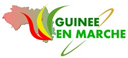 Guineeenmarche.com