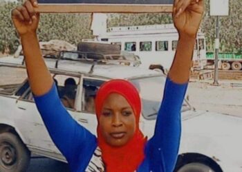 AES ou SÉNÉGAL : La CEDEAO applique la politique de l&rsquo;autruche par Abdoulaye SANKARA