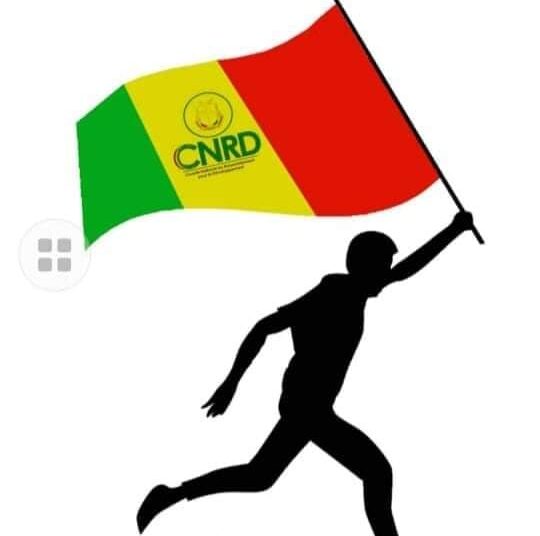 On ne peut pas critiquer matin, midi, soir la conduite de la transition par Sékou KOUNDOUNO