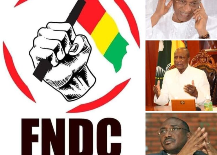 « Union Sacrée » : Serait-ce une union sacrée UFDG-FNDC ? Par Abdoulaye SANKARA