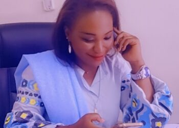 De la nécessite de mettre en place un Guichet Unique pour la Gestion du SIMANDOU (Par Mme Gnalen OULARE, Economiste)