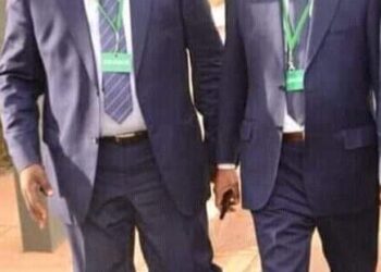 CEDEAO-GUINÉE-AES : Les amalgames contre-productifs d&rsquo;Elhadj Cellou Dalein Diallo de la Guinée ! Par Abdoulaye SANKARA