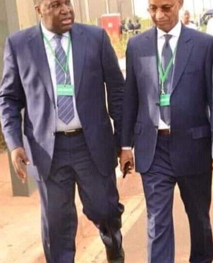 CEDEAO-GUINÉE-AES : Les amalgames contre-productifs d&rsquo;Elhadj Cellou Dalein Diallo de la Guinée ! Par Abdoulaye SANKARA