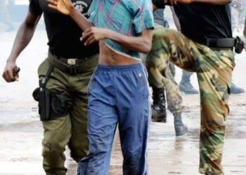 Quand l’humanité transcende les ordres : Des leçons de courage !